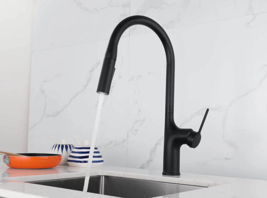 Matte Black Brushed Nickel Color Kitchen Water Tap with Pull out Sprayer