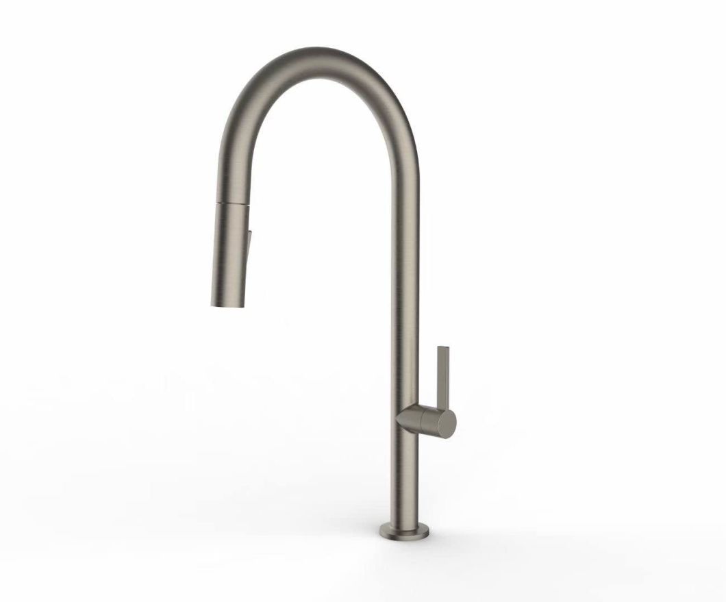 Kitchen Hardware Fittings Sink Water Tap with Pull Our Sprayer