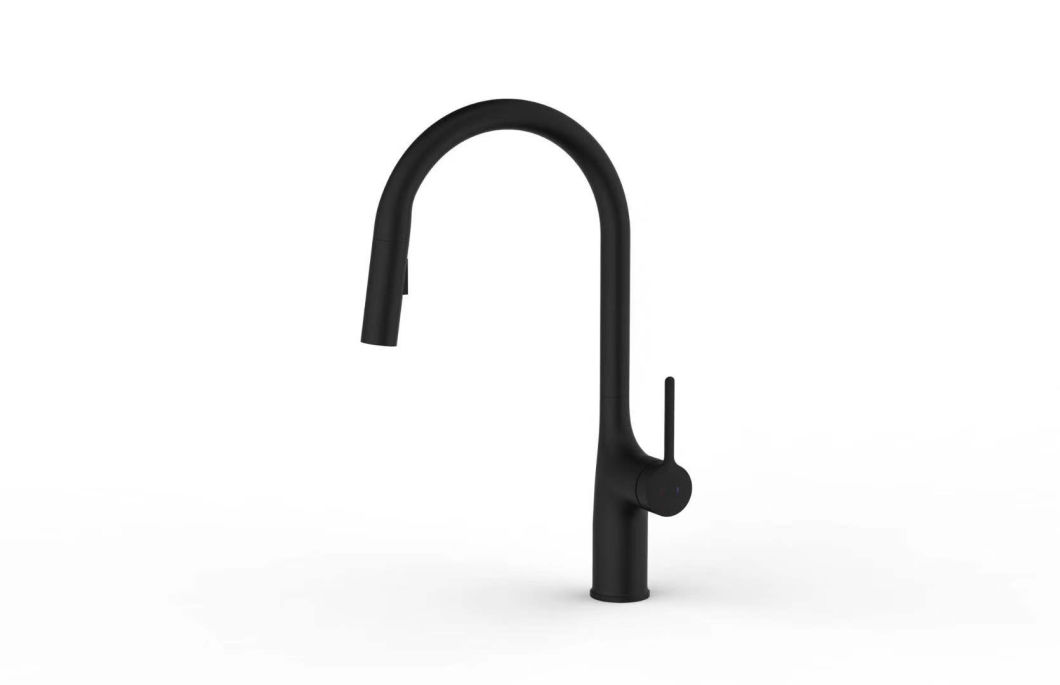 Matte Black Brushed Nickel Color Kitchen Water Tap with Pull out Sprayer